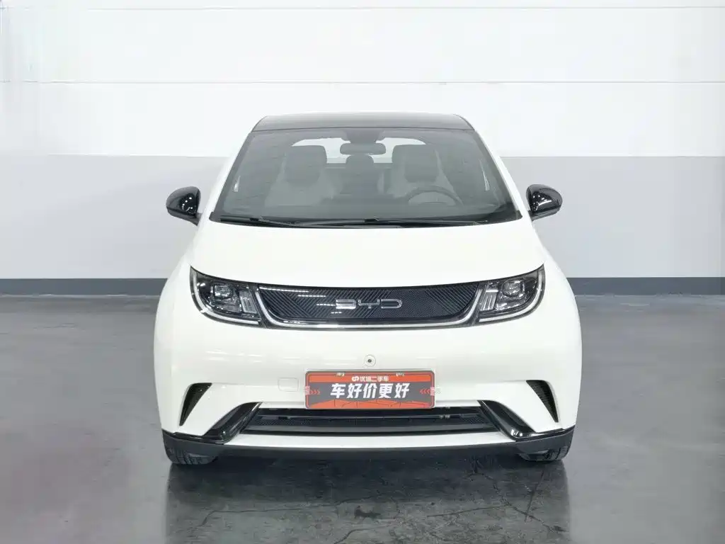 BYD Dolphin 2021 405km Fashion