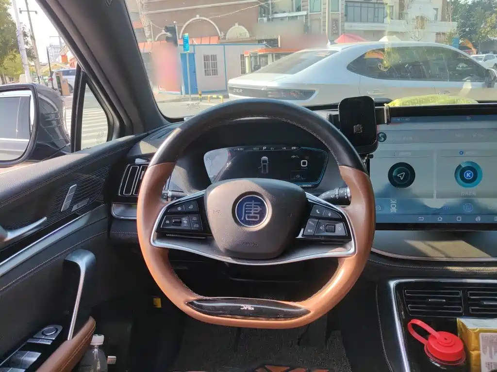 BYD Tang New Energy — миниатюра 11