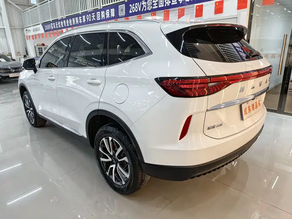 HAVAL H6