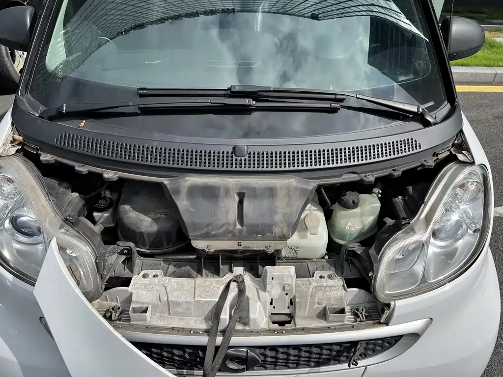 smart Smart Fortwo — миниатюра 6