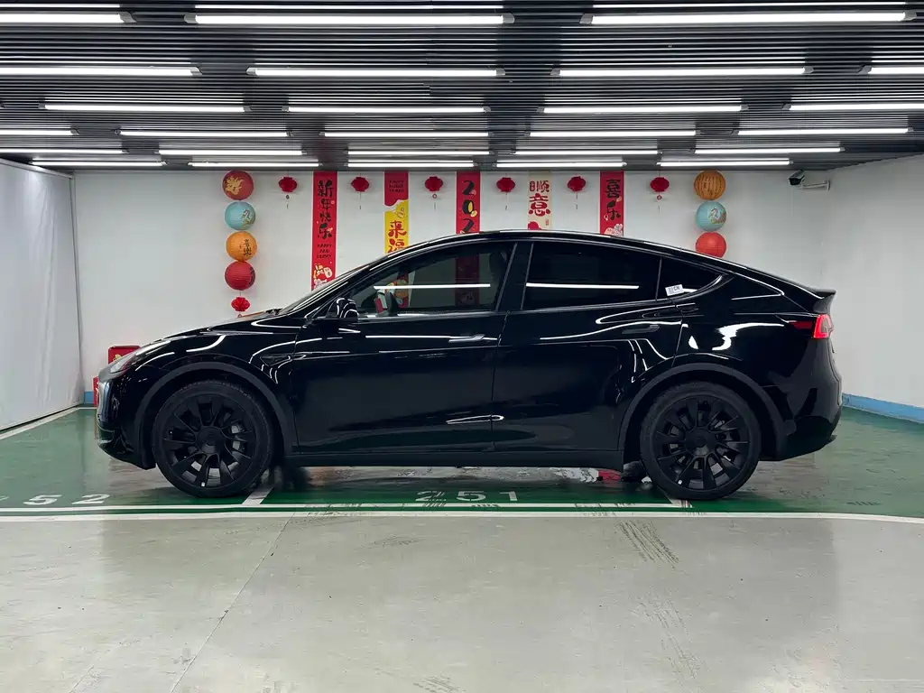 Tesla Model Y — миниатюра 4