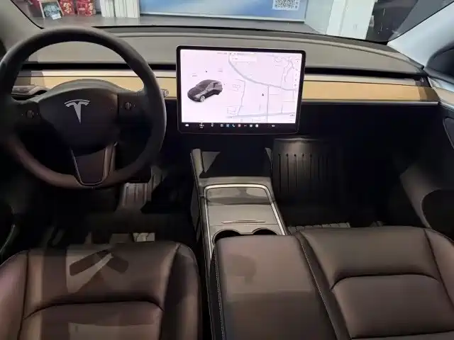 Tesla Model Y — миниатюра 5