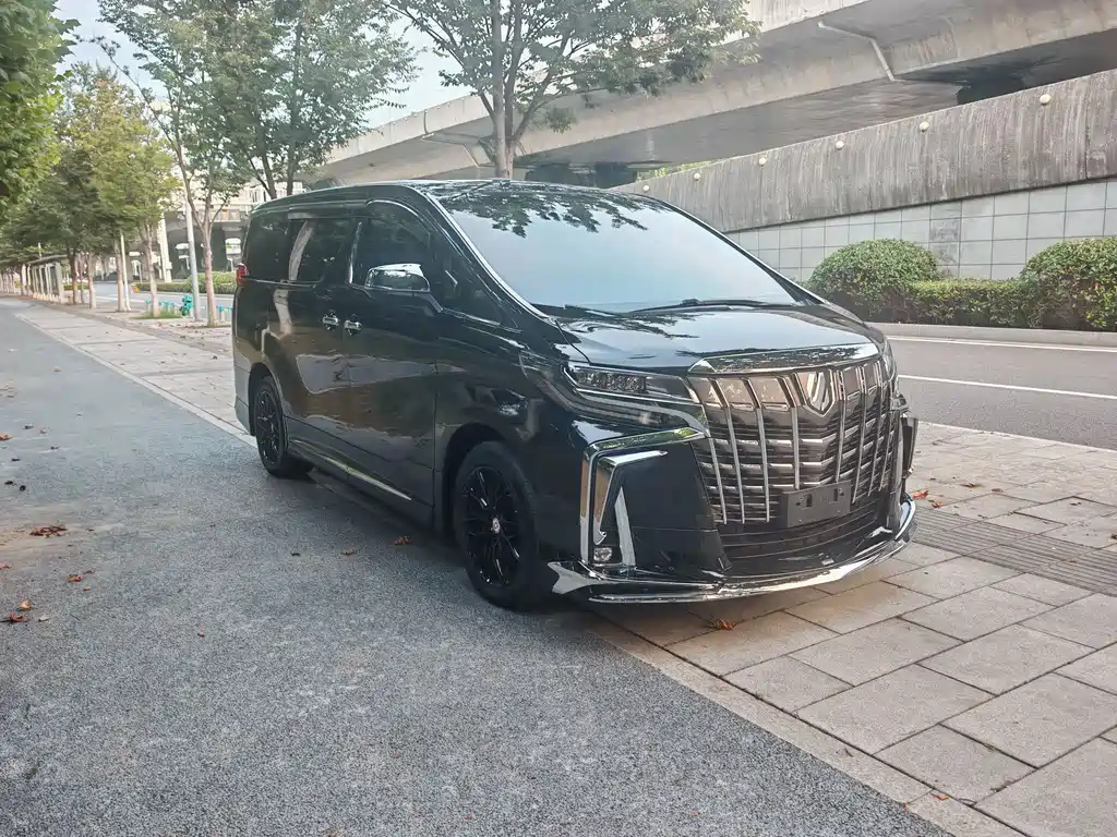 Toyota Alphard — миниатюра 2