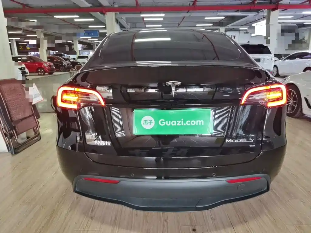 Tesla Model Y — миниатюра 6