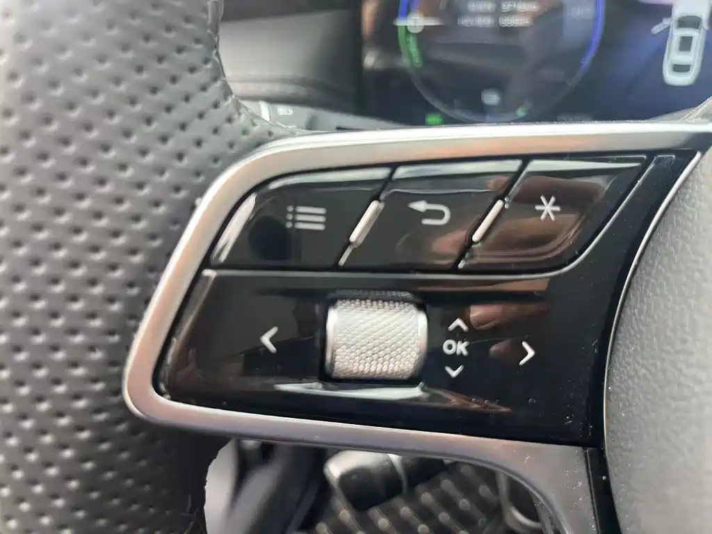 Hongqi Hongqi H5 PHEV — миниатюра 25