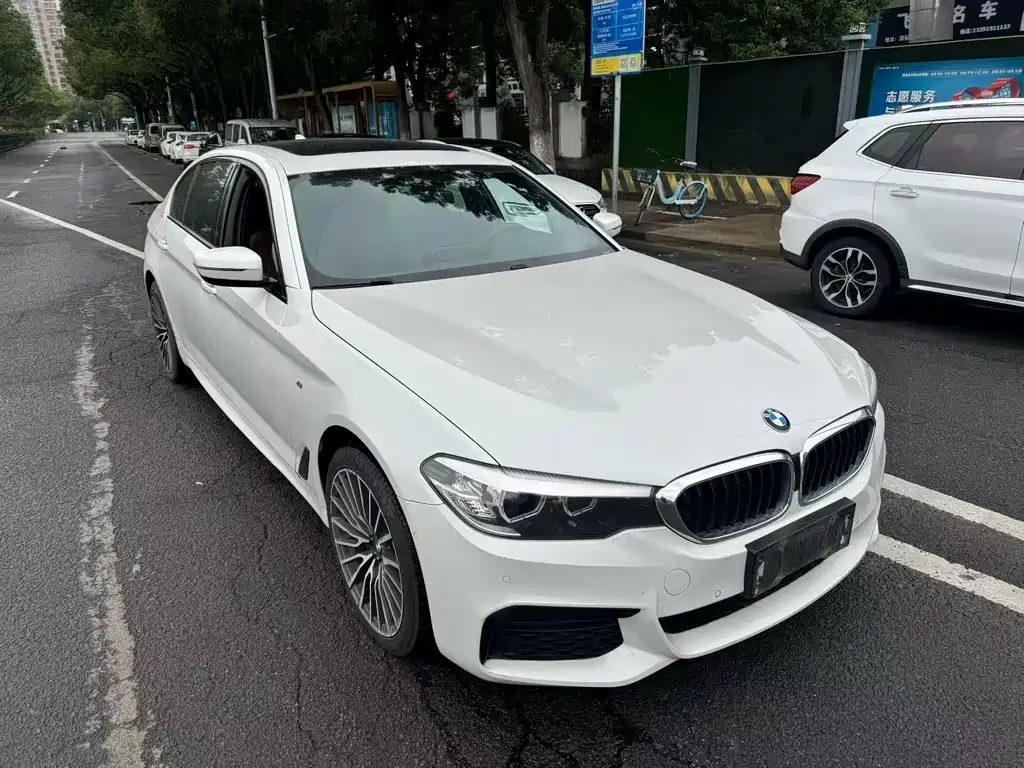 BMW 5 Series 5 2018 530Li Lead M Sport