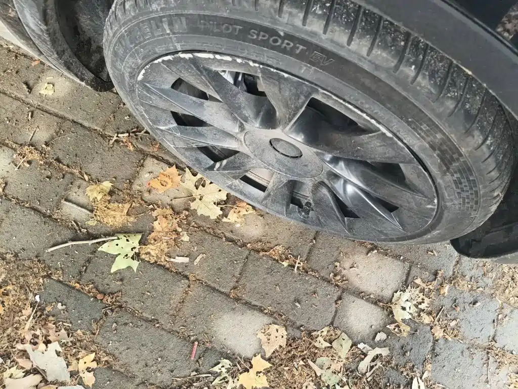 Tesla Model Y — миниатюра 8