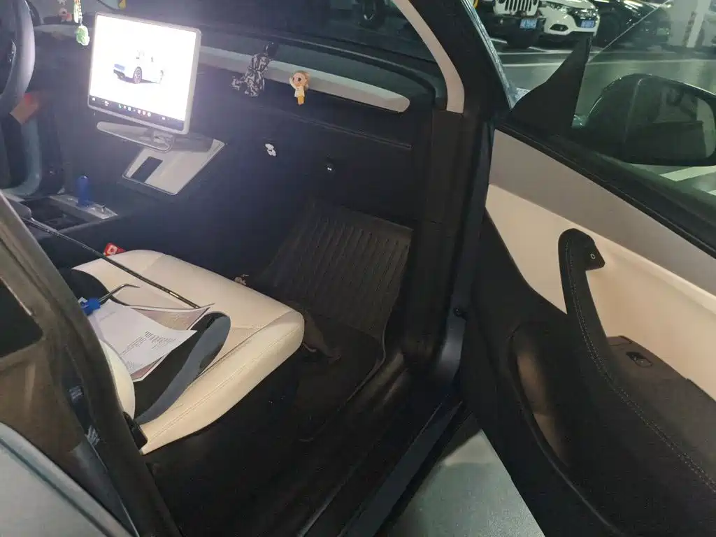 Tesla Model Y — миниатюра 18
