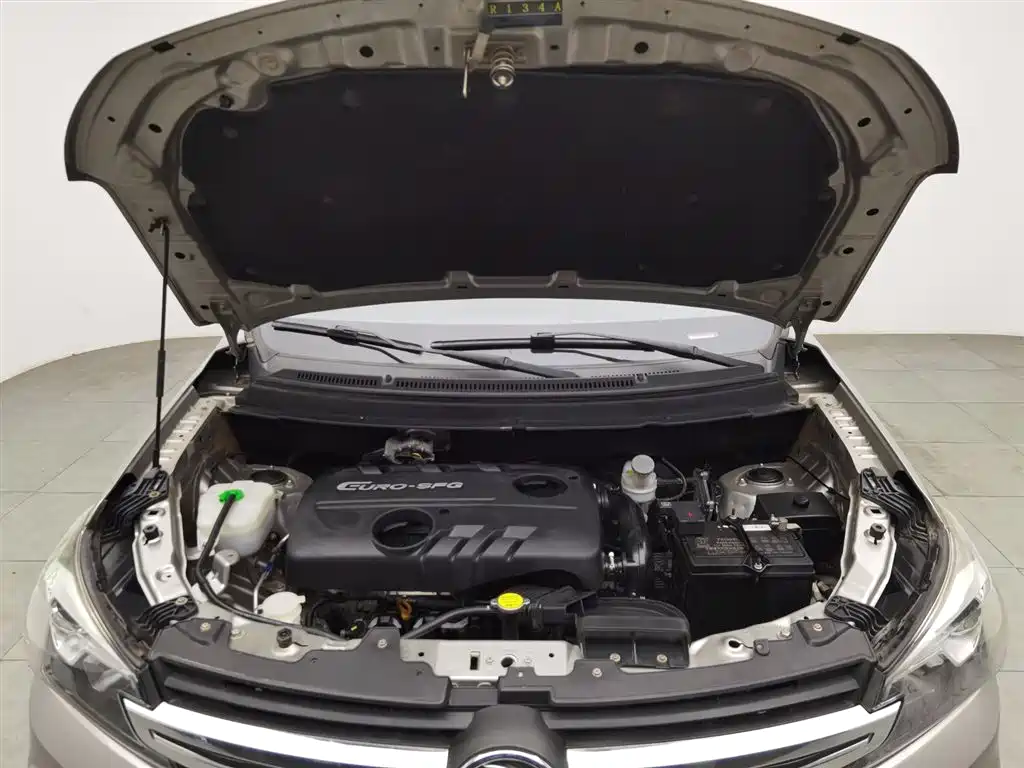 DONGFENG SCENERY S560