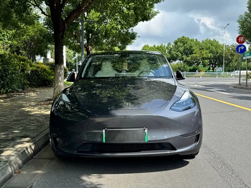 Tesla Model Y — миниатюра 2