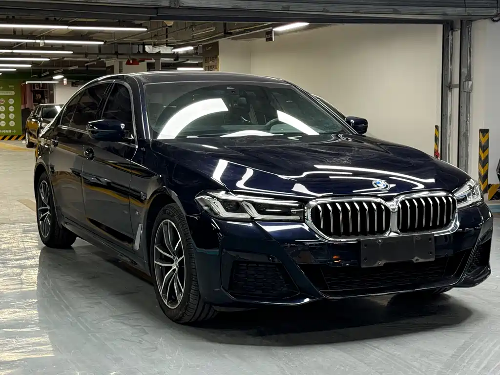 BMW 5 SERIES