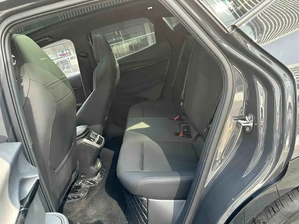 VOLKSWAGEN WITH THE CROWD 06