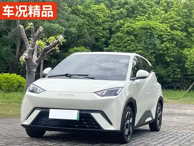 BYD SEAGULL 2023