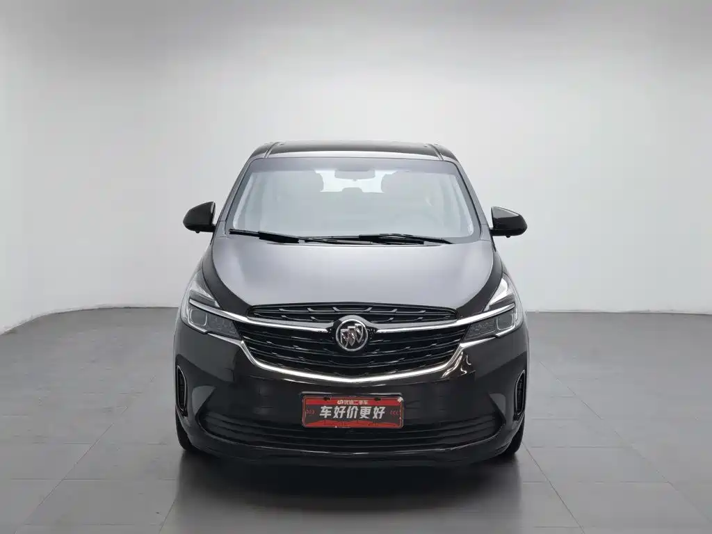 Buick GL8 — миниатюра 3