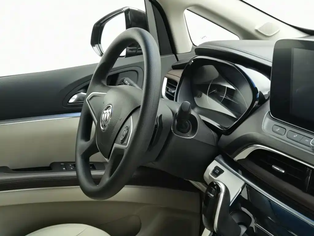 Buick GL8 — миниатюра 22