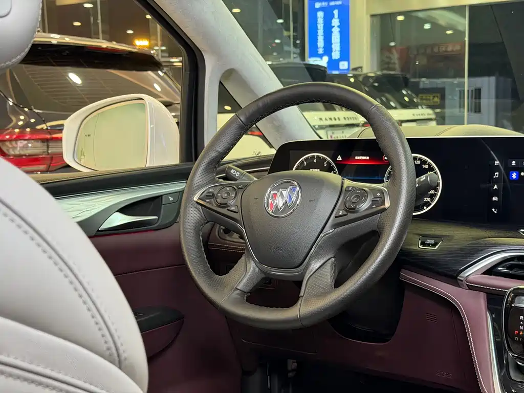 Buick GL8 — миниатюра 17