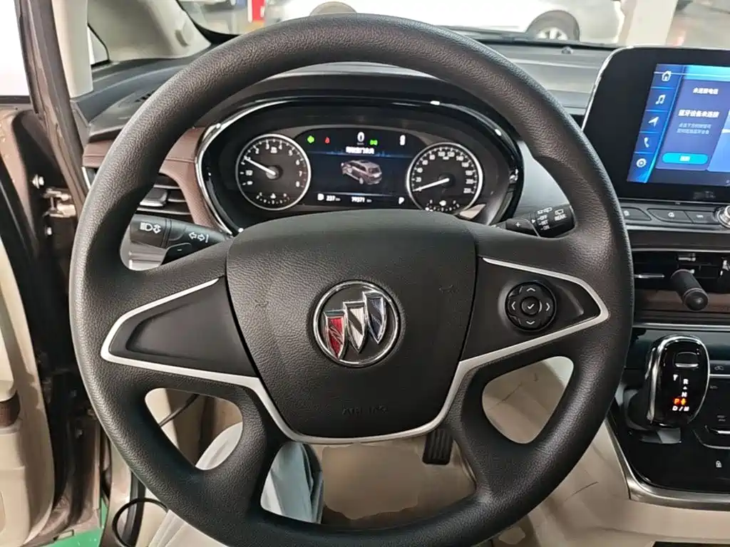 Buick GL8 — миниатюра 11