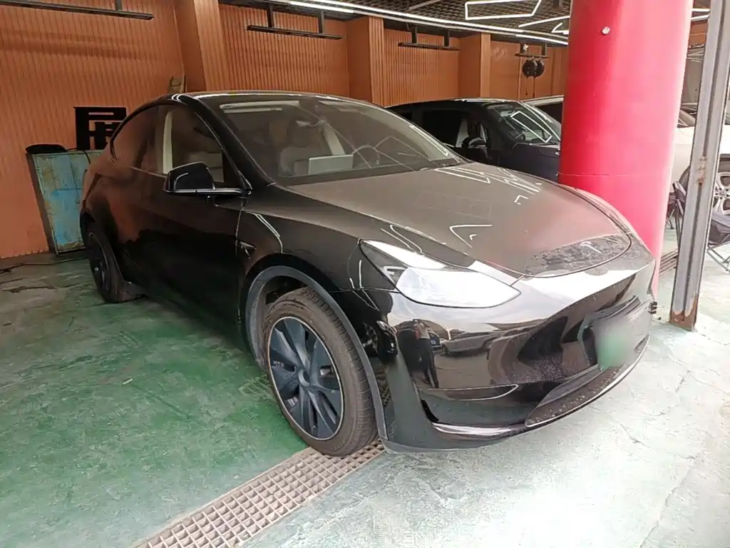 Tesla Model Y — миниатюра 4