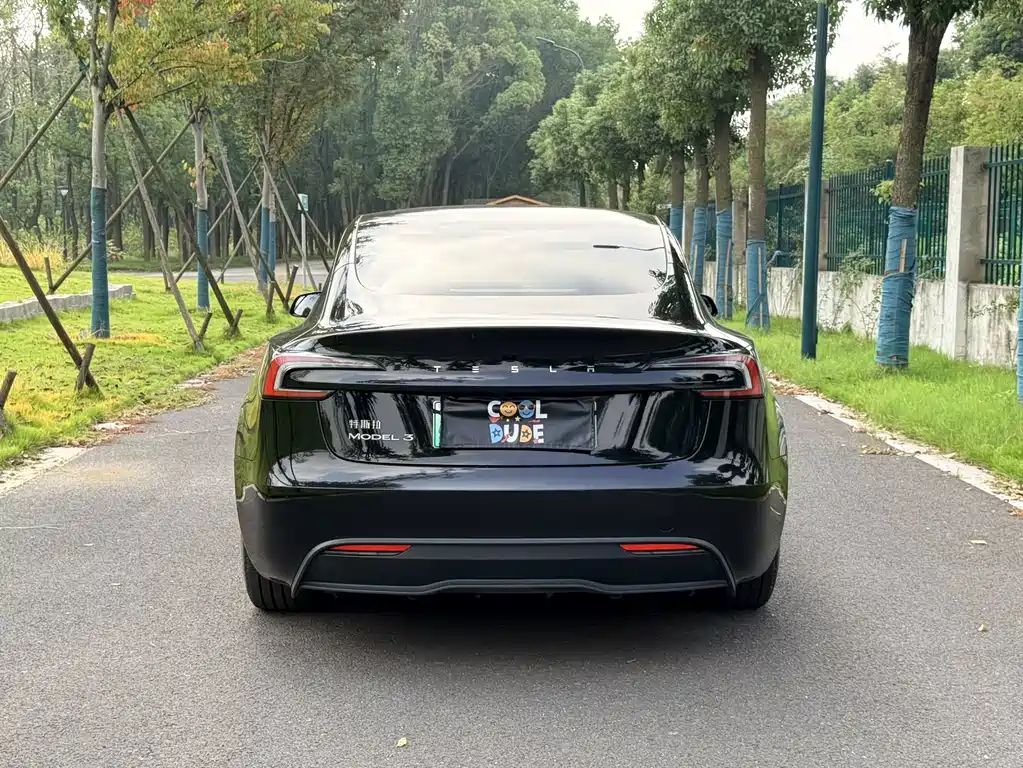 Tesla Model 3 — миниатюра 5