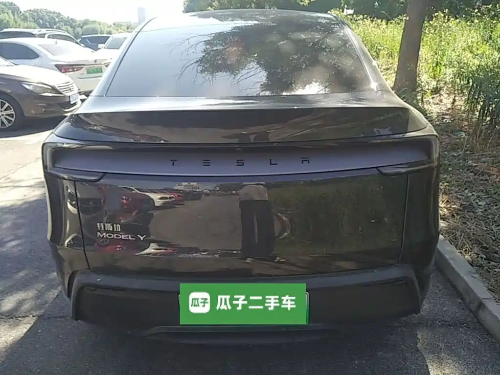Tesla Model Y — миниатюра 6