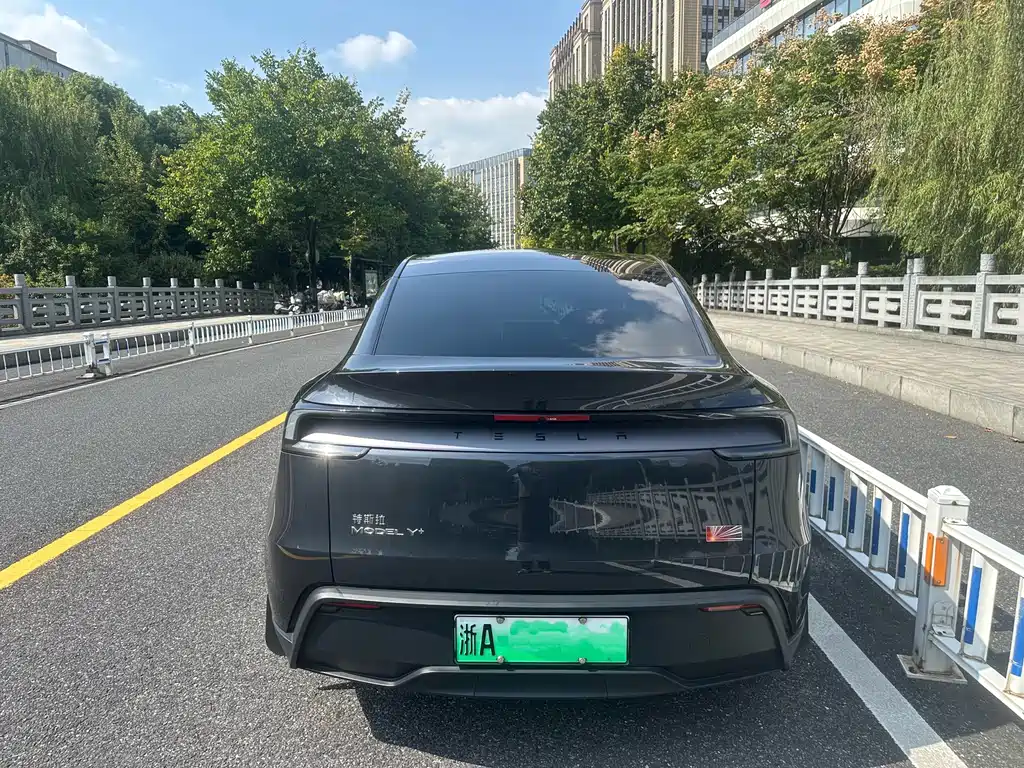Tesla Model Y — миниатюра 4