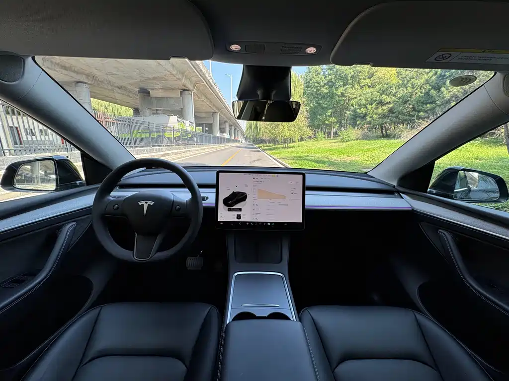 Tesla Model Y — миниатюра 10