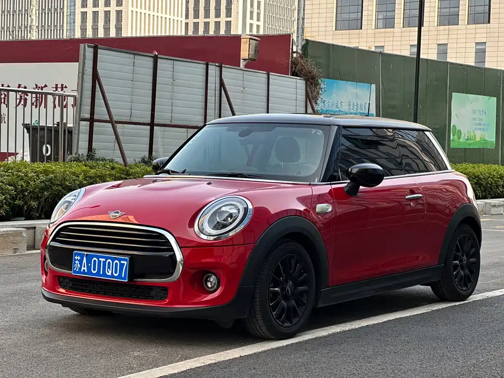 Mini Mini 2020