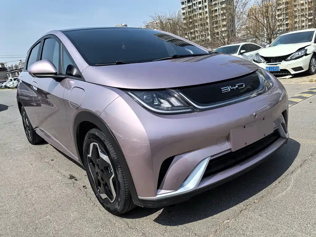 BYD Dolphin — миниатюра 4
