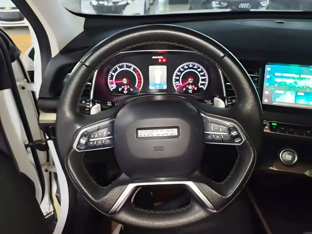 Haval H6 — миниатюра 11