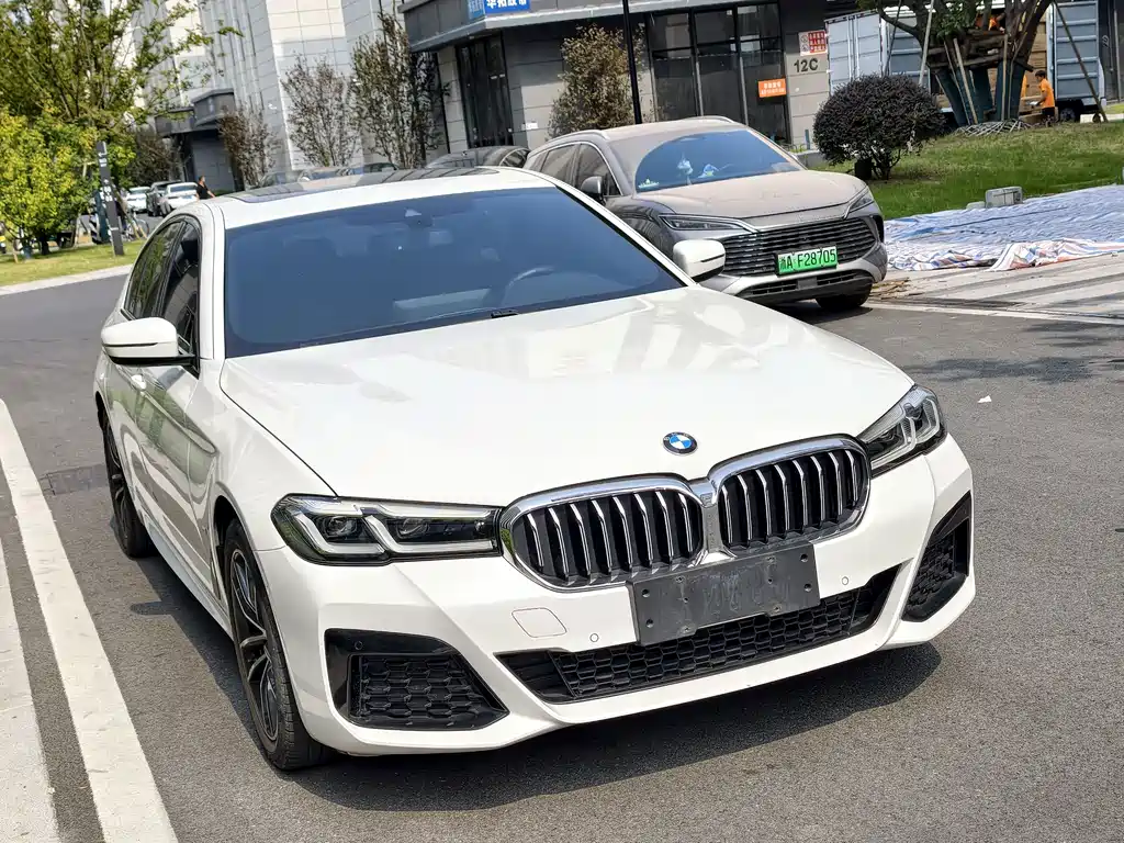 BMW 5 Series (Import) — миниатюра 6