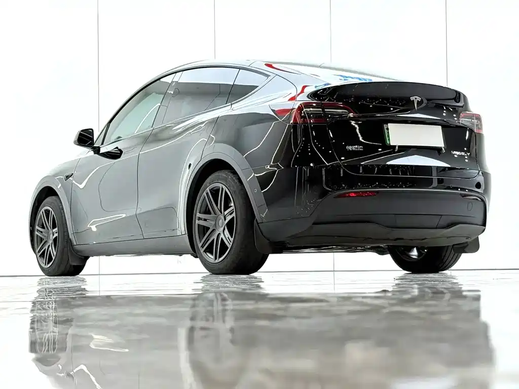 Tesla Model Y — миниатюра 4
