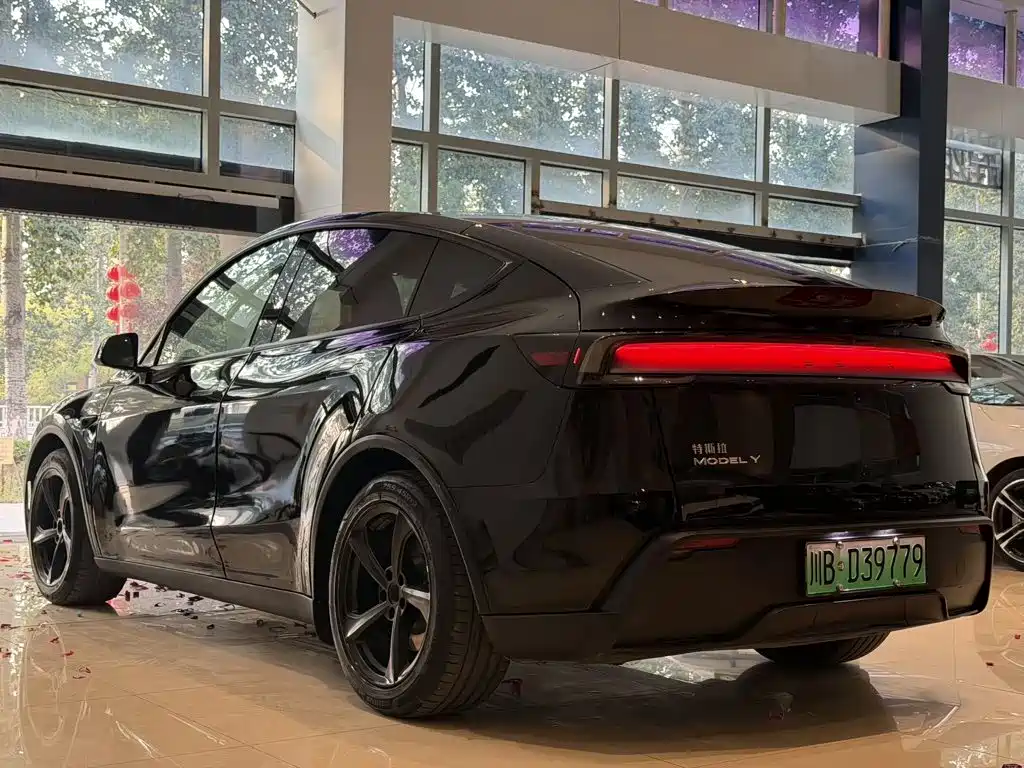 Tesla Model Y — миниатюра 9
