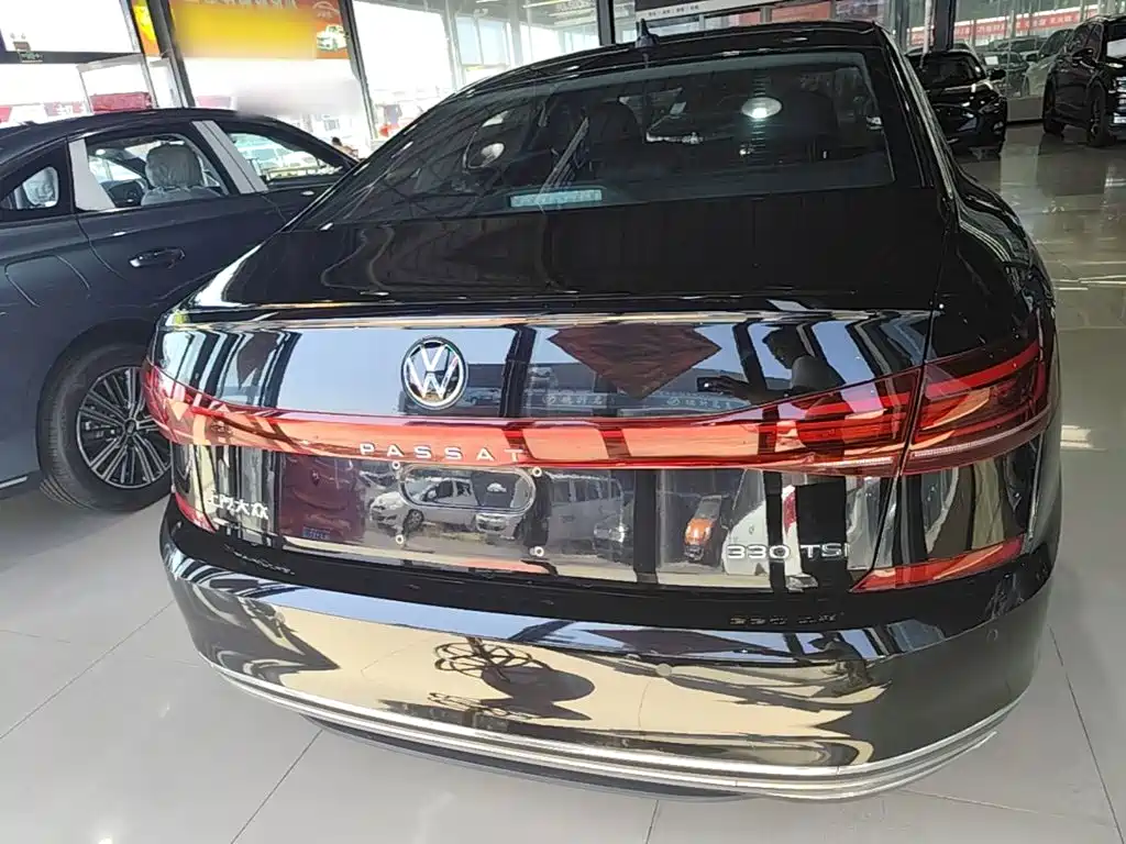 Volkswagen Passat — миниатюра 6