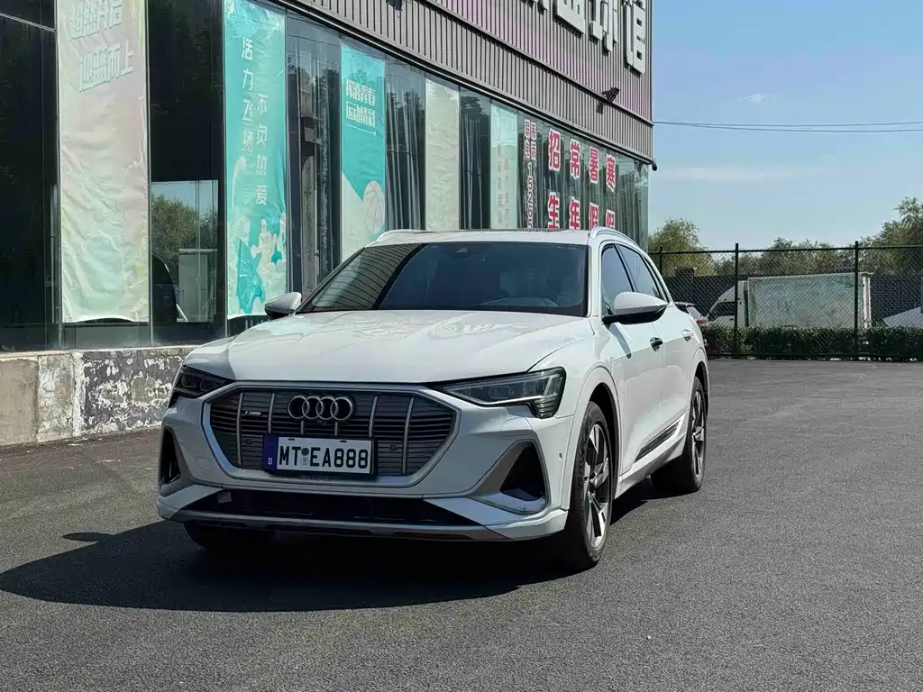 Audi E-tron (Import)