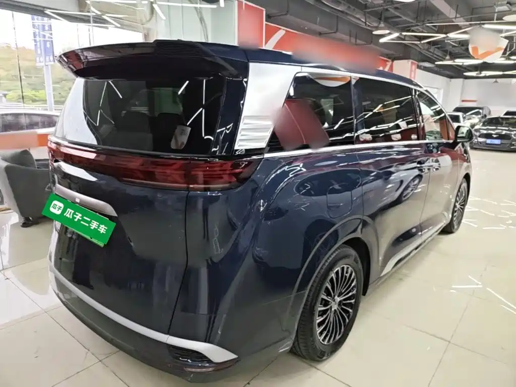Denza Denza D9 — миниатюра 7