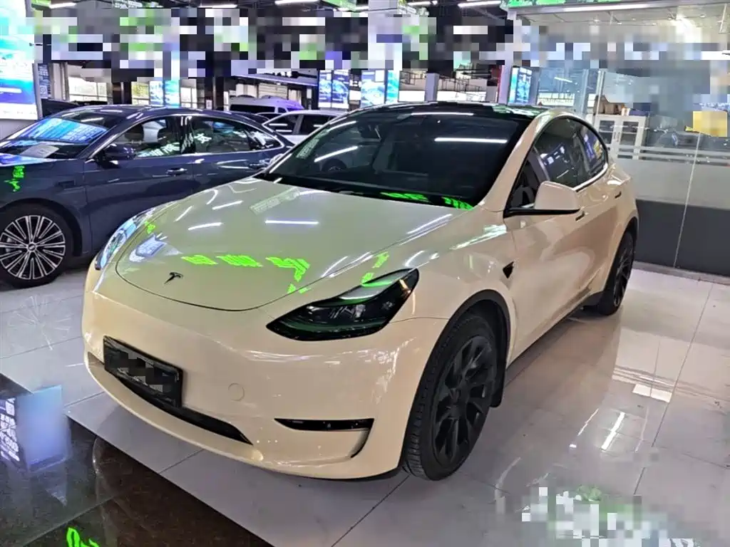 Tesla Model Y 2021 Standard Range RWD Edition