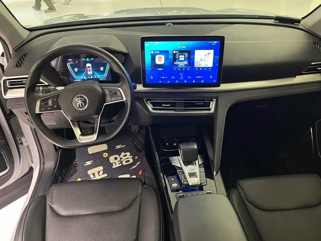 BYD Pro New Energy — миниатюра 5