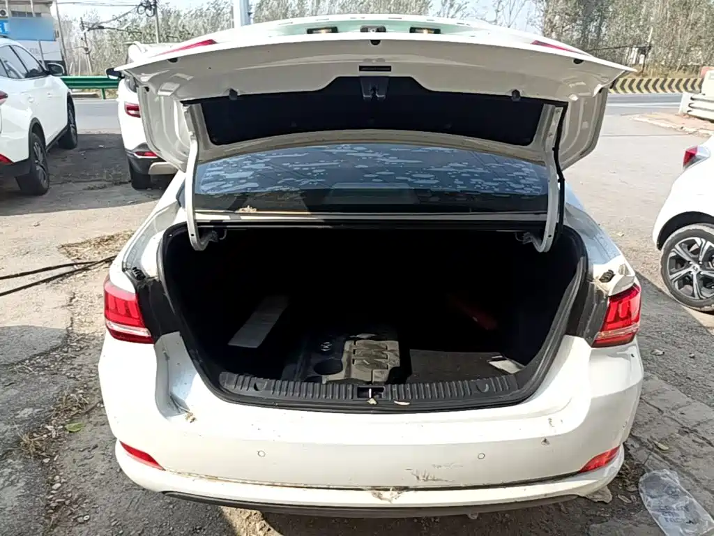 BAIC Senova D50 — миниатюра 19