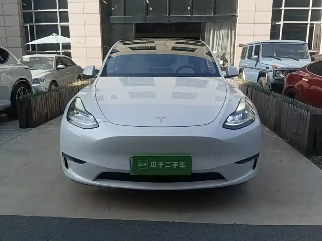 Tesla Model Y — миниатюра 3