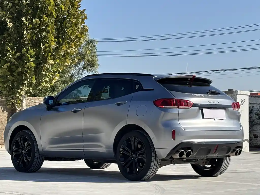 WEI PAI WEI BRAND VV5