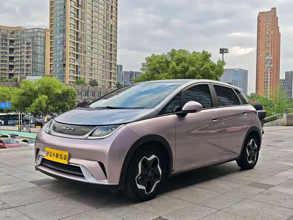 Byd Dolphin 2021