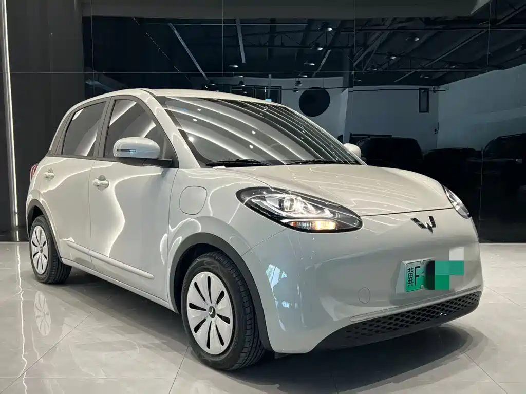 Wuling Binguo 2023 333km Enjoy