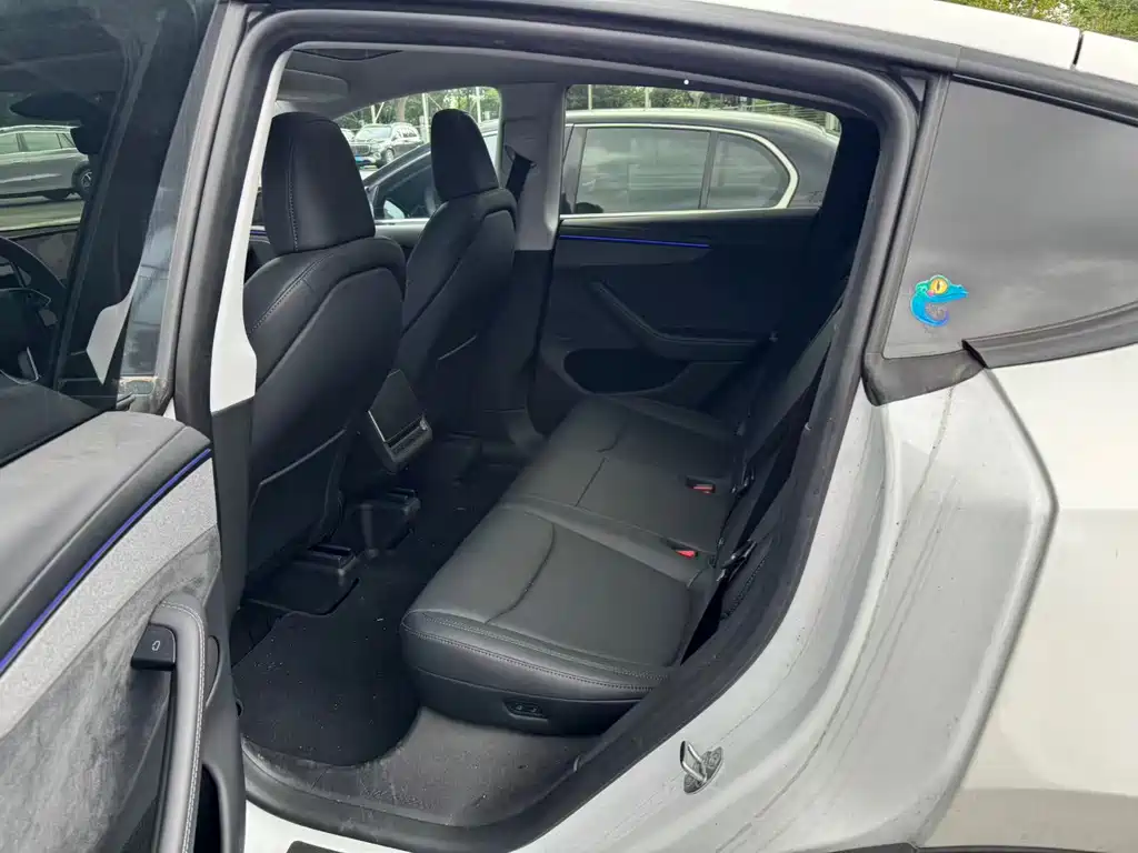 Tesla Model Y — миниатюра 9