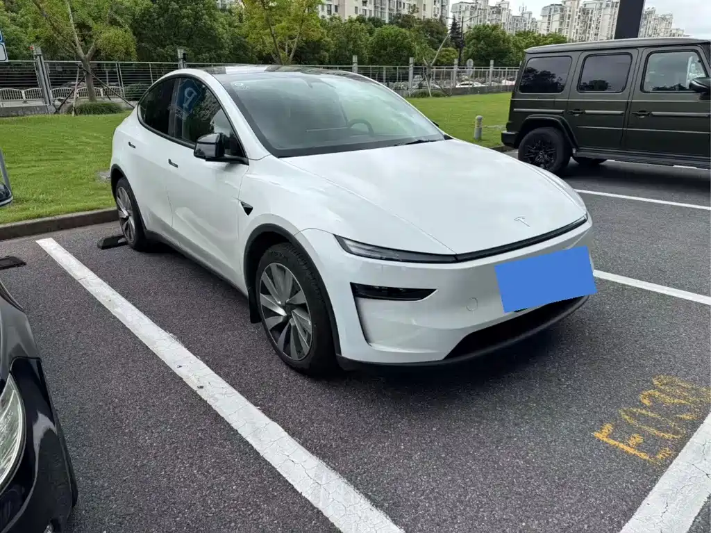 Tesla Model Y — миниатюра 3