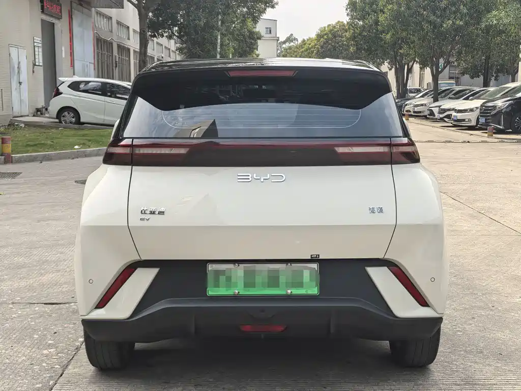 BYD Seagull 2024 405km Flying