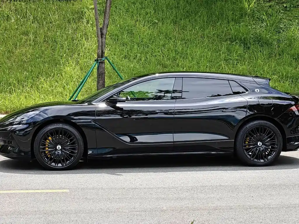 Denza Denza Z9GT — миниатюра 6