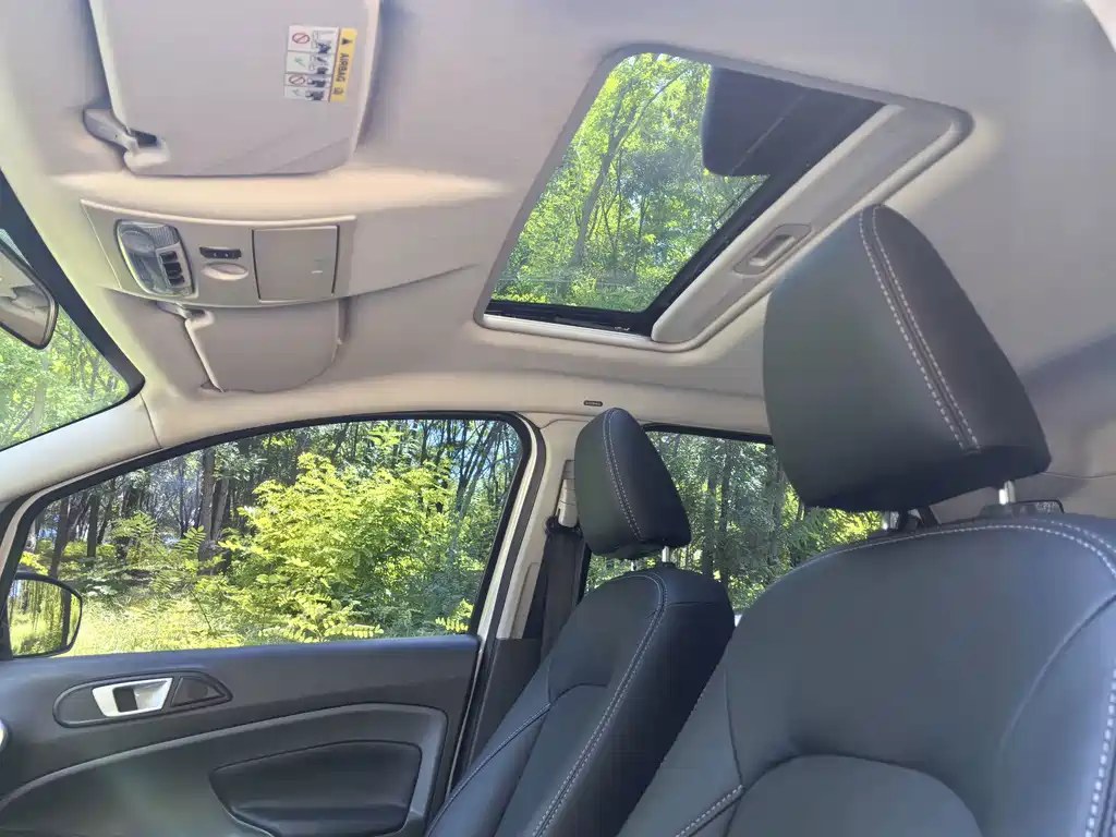 Ford Ecosport — миниатюра 15