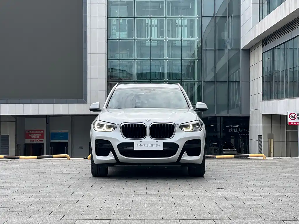 BMW X3 — миниатюра 2