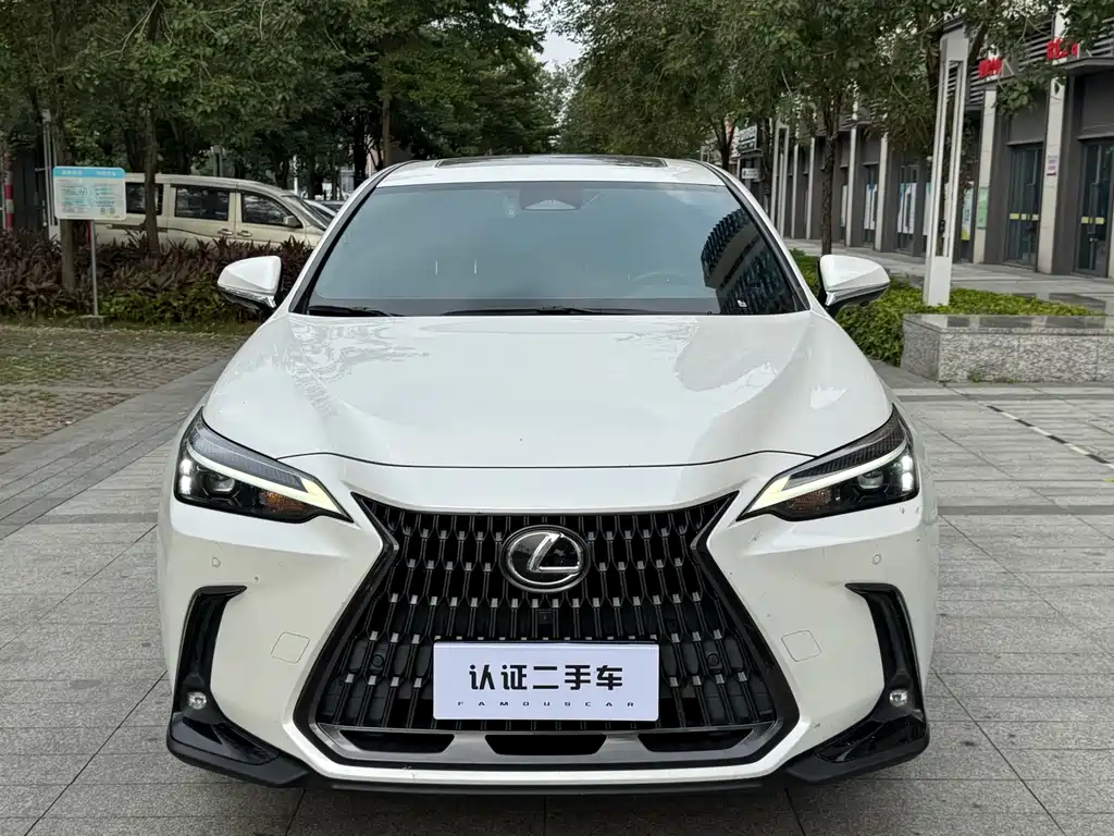 Lexus NX — миниатюра 2