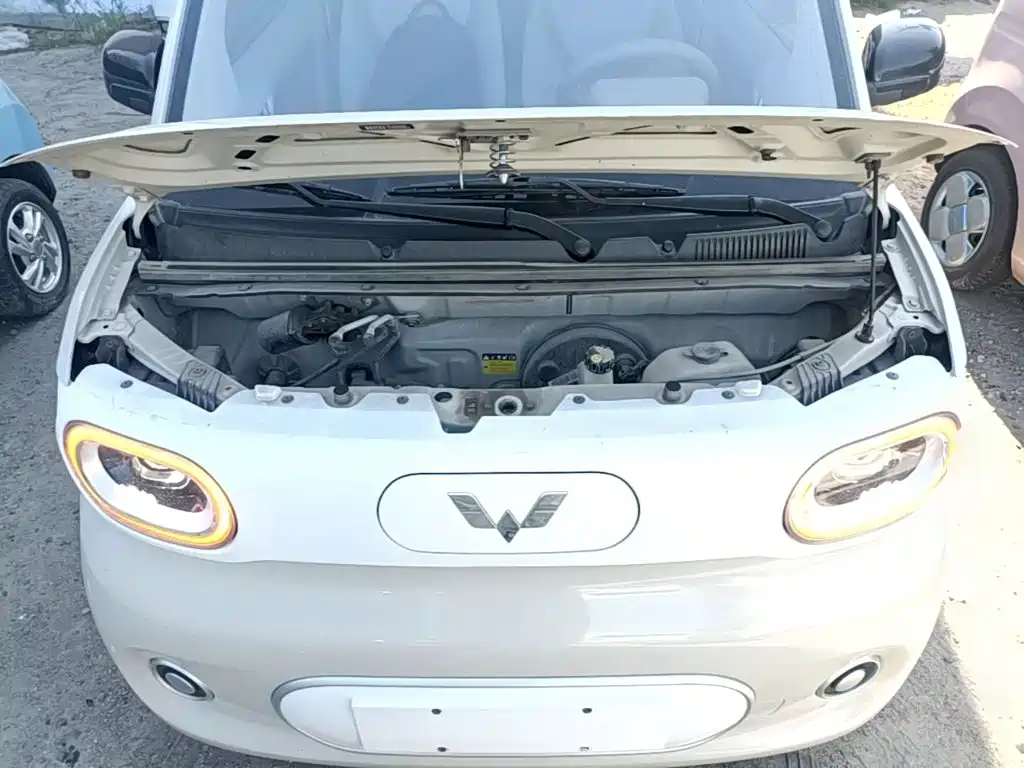 Wuling MINIEV — миниатюра 20